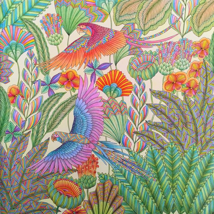 Coloringbook Tropicalwonderland Tropical ParadiseAdult ColoringColoring BooksAnimal KingdomBook ArtSocial ArtworkingColored Pencil TutorialSecret