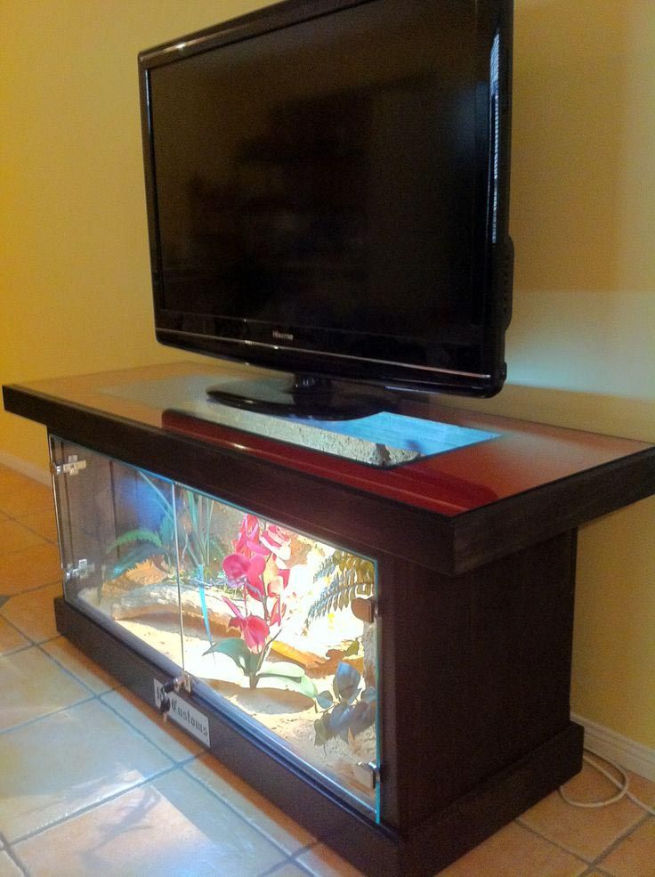 best 25+ coffee table aquarium ideas only on pinterest | fish tank best 25+ coffee table aquarium ideas only on pinterest | fish tank