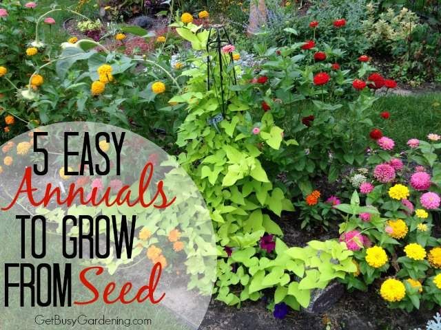 Flower Landscaping Ideas 216 best flower garden ideas images on pinterest | flower Flower Landscaping Ideas 216 best flower garden ideas images on pinterest | flower