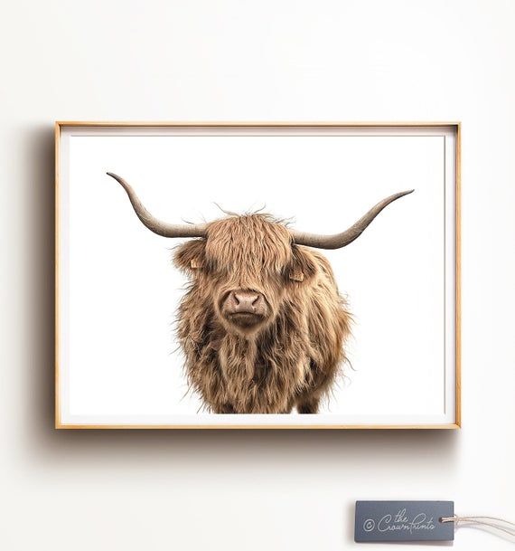 Highland Cow Print Digital Download Modern Farmhouse Wall Etsy Highland Cow Print Highland Cow Wall Art Prints