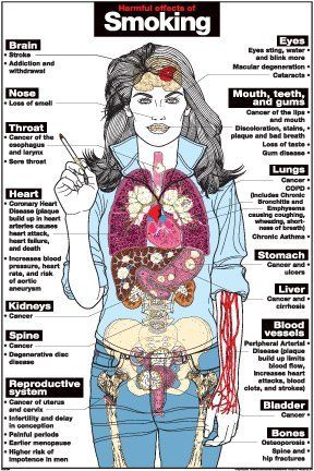 Effects of drugs essay