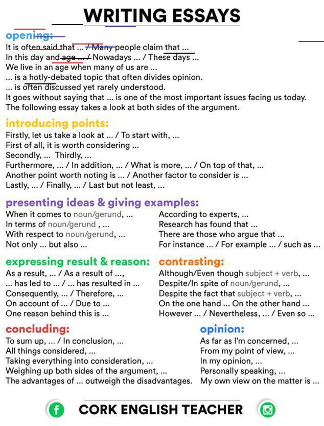 Essay Writing Contest by EssaysCapital