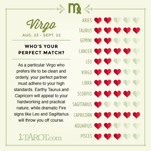 Virgo virgo love compatibility