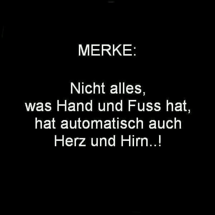Herz und Hirn...! Lustige zitate und sprüche, Gedanken zitate, Weisheiten