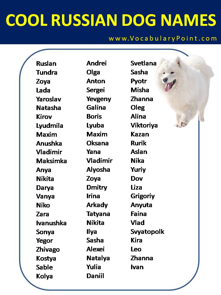 Most Popular Russian Dog Names Russian Dogs Dog Names Names most-popular-russian-dog-names-russian-dogs-dog-names-names