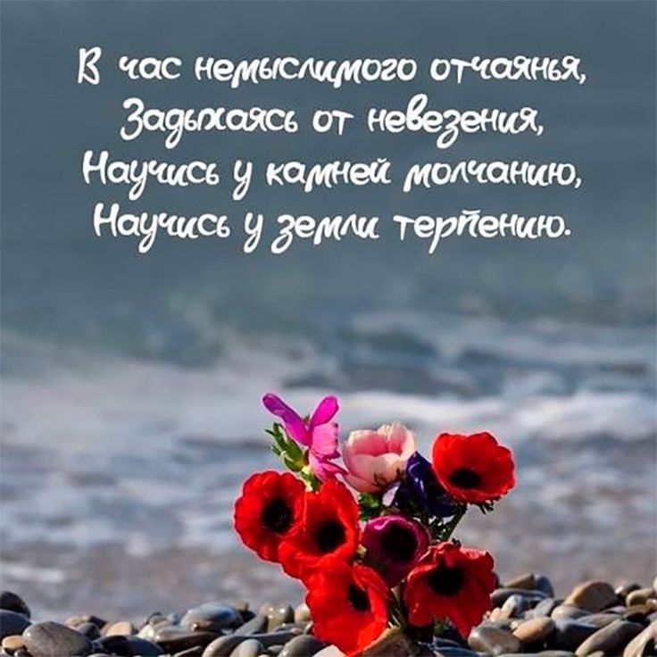 Добрым, открытка про жизни