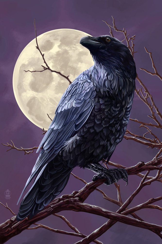 a black bird sitting on top of a tree branch in front of a full moon