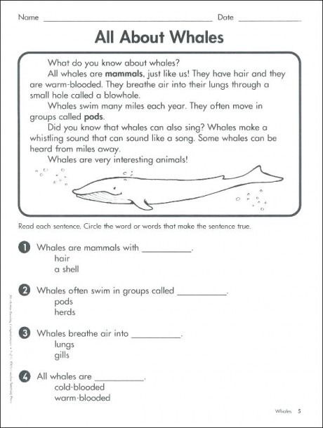 year 5 n worksheets reading for grade 7 exercises resource