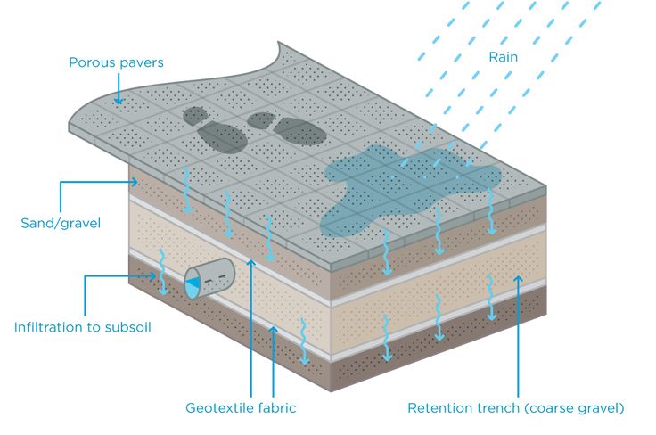 Aquaponics vs regular farming How to Start a Commercial Aquaponics Business