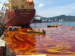 environmental pollution