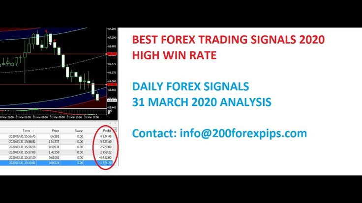 How to make 20 pips a day trading forex
