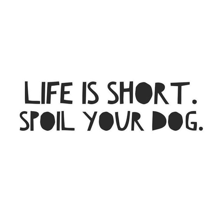 Dog Quote Puppy Quotes Dog Quotes Dog Mom Quotes dog-quote-puppy-quotes-dog-quotes-dog-mom-quotes