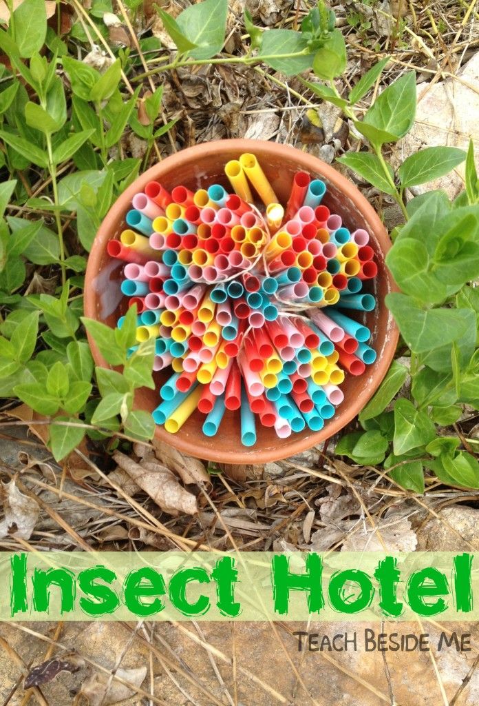 Best 25 Bug Hotel Ideas Only On Pinterest House Insects Insect Insect Hotel Nature Science