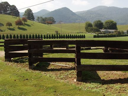 58 best Railroad ties images on Pinterest | Railway sleepers ... 58 best Railroad ties images on Pinterest | Railway sleepers ...