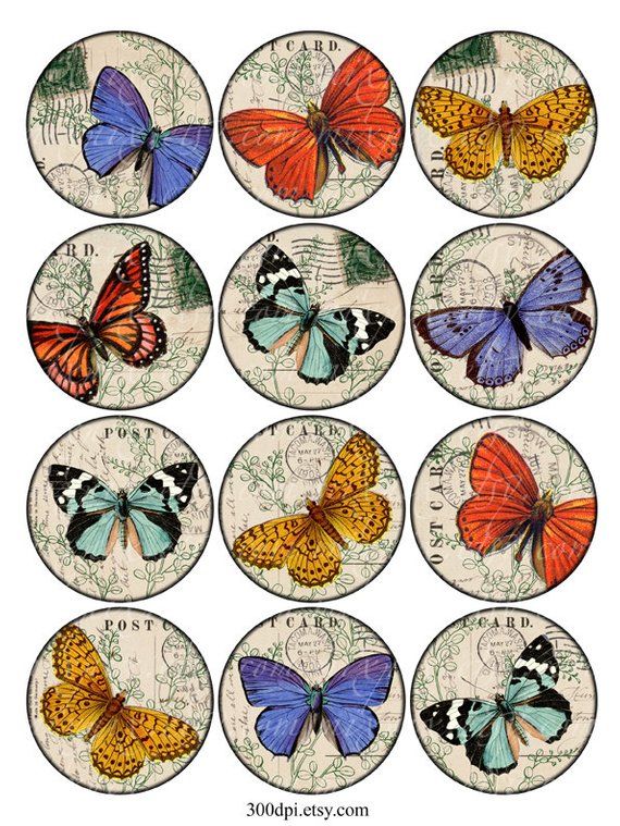 Pre Cut One Inch Bottle Cap Images BUTTERFLY BUTTERFLIES Free Ship