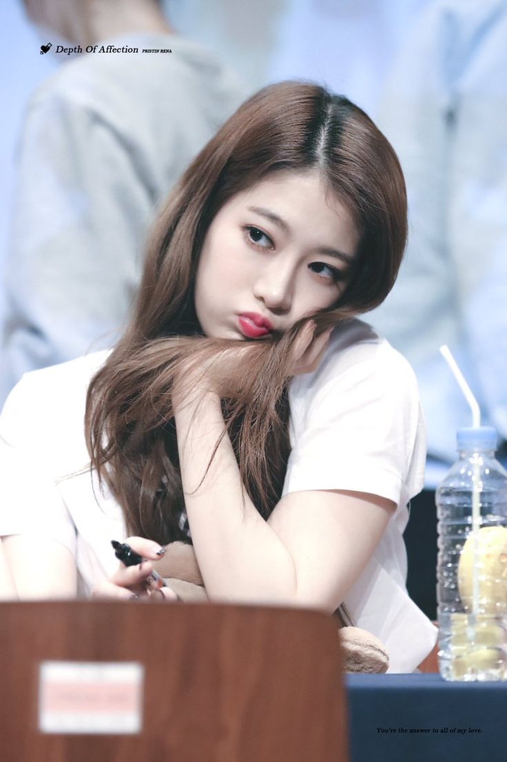 pristin rena kang yebin fansign aegyo pristin rena kang yebin fansign aegyo
