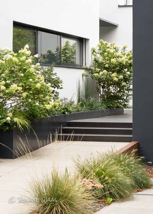 Die besten 25+ Vorgarten modern Ideen nur auf Pinterest | moderne ... Eingangsbereich gestalten garten
Eingangsbereich gestalten garten
Die besten 25+ Vorgarten modern Ideen nur auf Pinterest | moderne ...