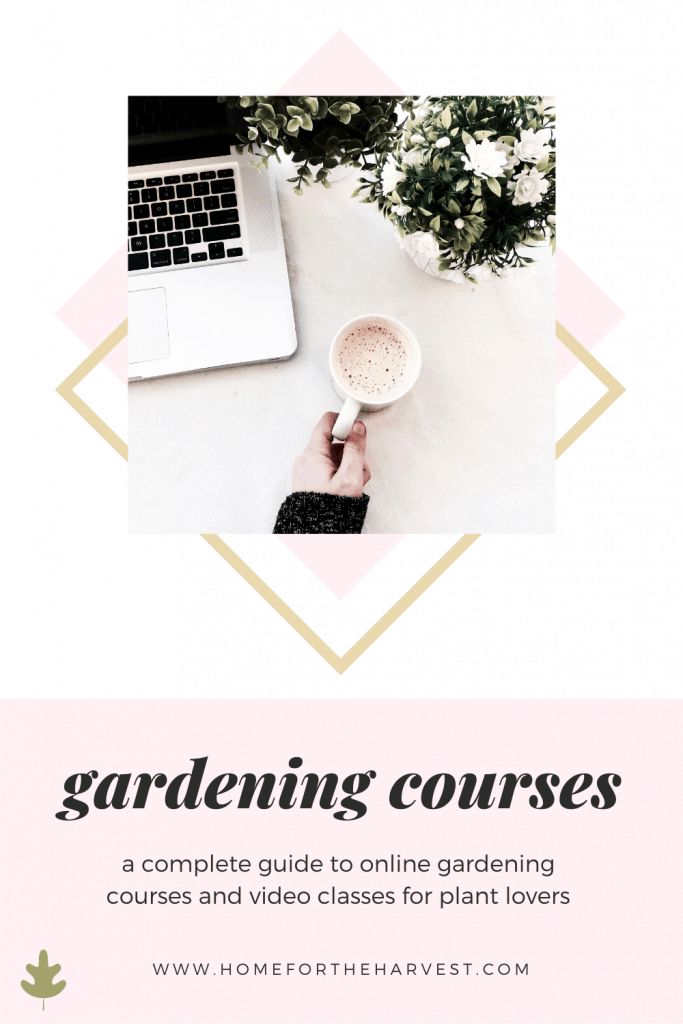 Online Gardening Courses 40 Garden Classes To Take At Home online-gardening-courses-40-garden-classes-to-take-at-home