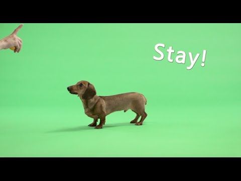 tieks sunshine feat dan harkna sausage dog outtakes tieks sunshine feat dan harkna sausage dog outtakes