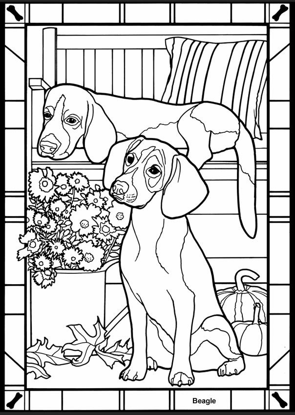 217 best dogs to color images on Pinterest Coloring books - new coloring pages beagle puppies 217 best dogs to color images on Pinterest Coloring books - new coloring pages beagle puppies