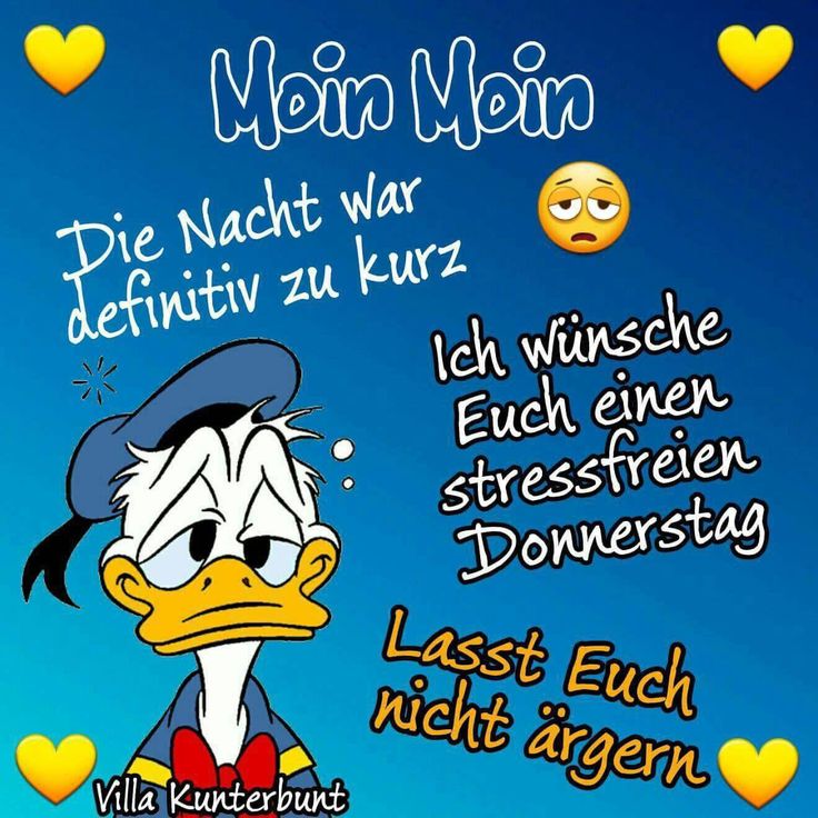Lustige bilder kostenlos zum versenden