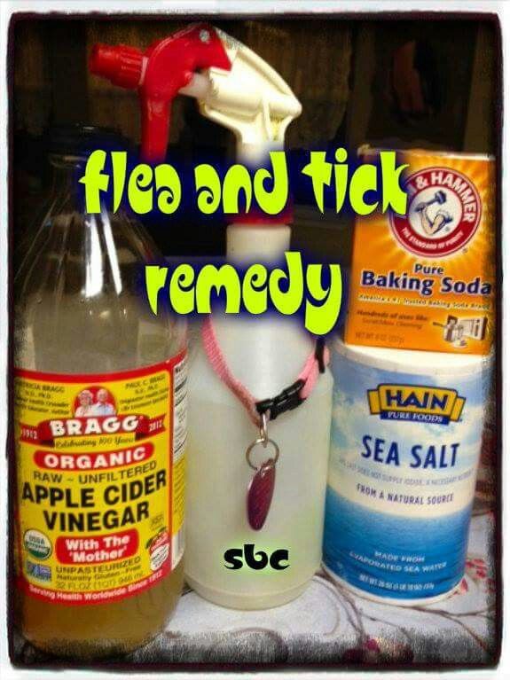 Home Remedies To Bathe Dogs For Fleas Home Remedies To Bathe Dogs For Fleas