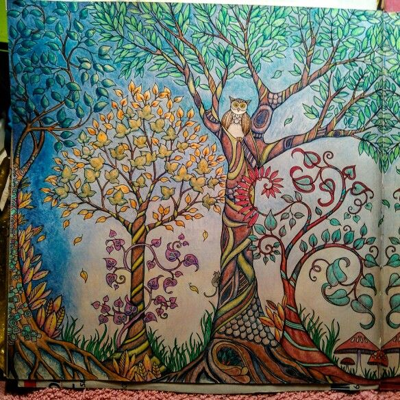 44 Best Enchanted Forest Pics I Colored Images On