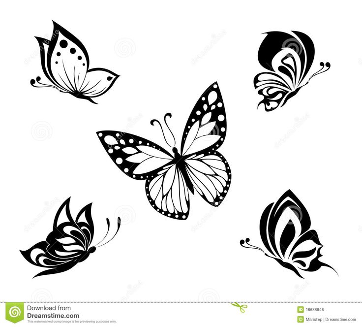 32 best black white and purple butterfly tattoos images on 32 best black white and purple butterfly tattoos images on