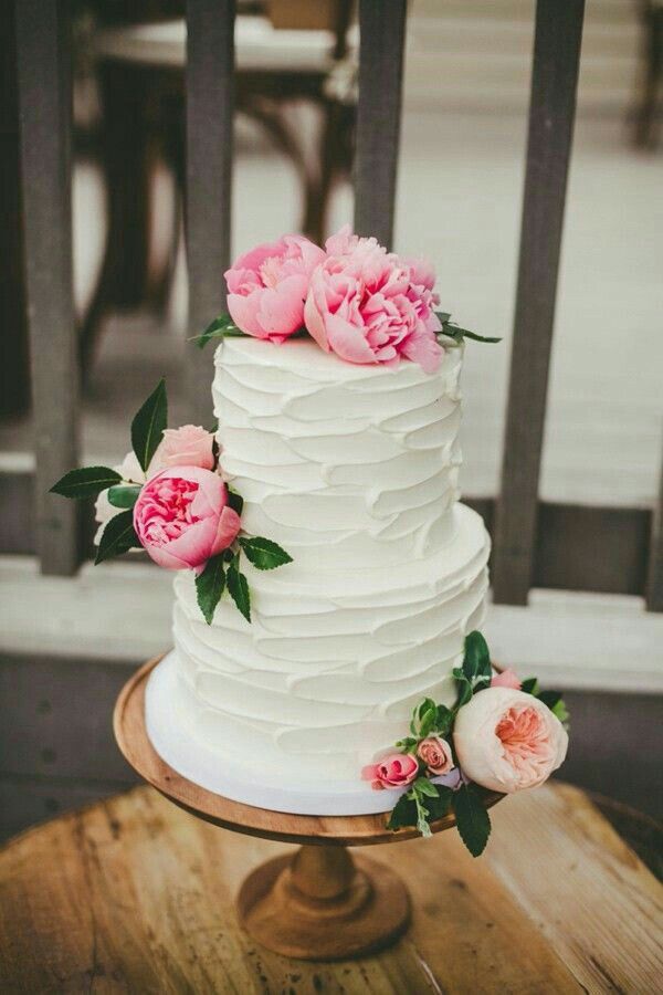 A Beautiful Pink And Gold Outdoor San Diego Wedding You Dont Want To Miss Out On All The Pretty Details Shared By Melissa Biador Photography A Beautiful Pink And Gold Outdoor San Diego Wedding You Dont Want To Miss Out On All The Pretty Details Shared By Melissa Biador Photography