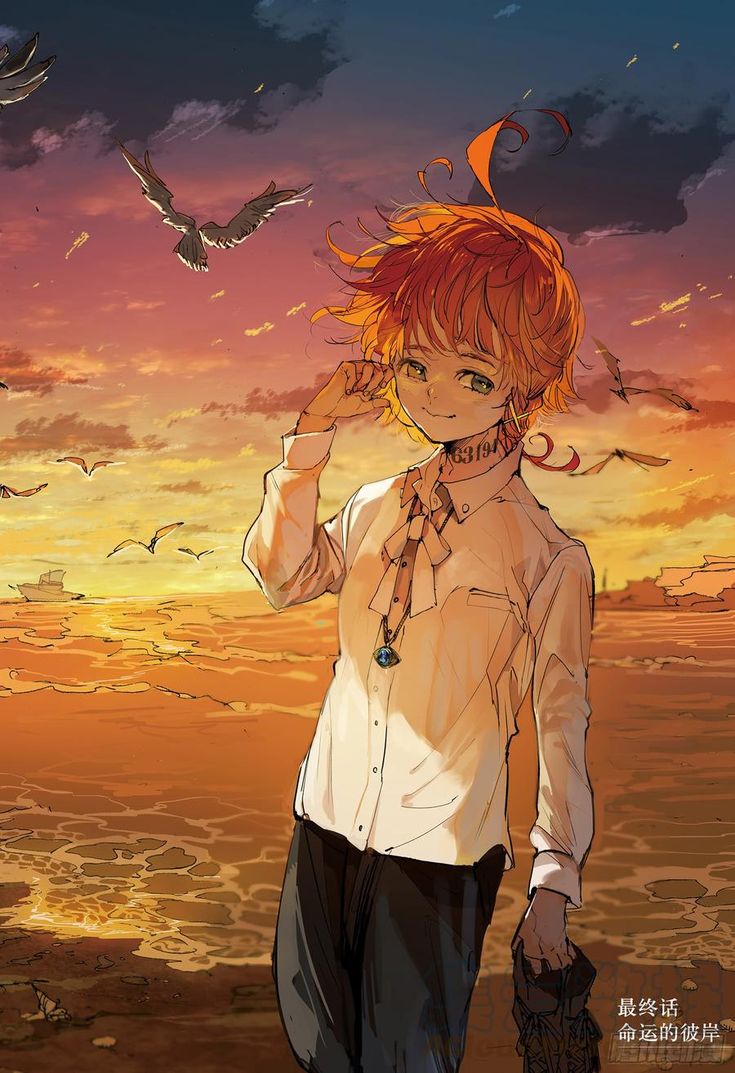 约定的梦幻岛 最终话 命运的彼岸 OH漫画 in 2020 Anime, Art