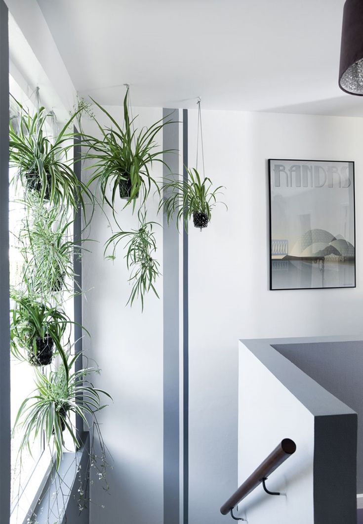 280 best B O T A N I C A L images on Pinterest Indoor house - dekoration für küche 280 best B O T A N I C A L images on Pinterest Indoor house - dekoration für küche