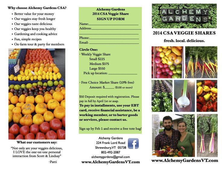37 best micro brochure images on Pinterest Gardening, Plants and - diabetes brochure template 37 best micro brochure images on Pinterest Gardening, Plants and - diabetes brochure template