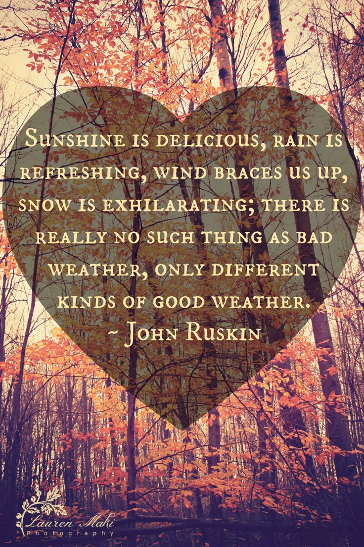 6ec d29e3da d36e12 fall weather quotes fall season quotes