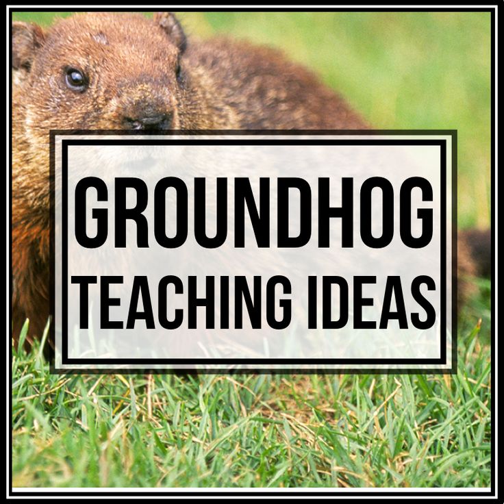 groundhog day theme 72 best reindeer activities crafts and lesson plans for groundhog day theme 72 best reindeer activities crafts and lesson plans for