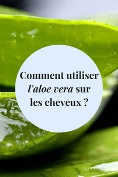 Pourquoi et remark utiliser l’aloe vera sur les cheveux Pourquoi et remark utiliser l’aloe vera sur les cheveux