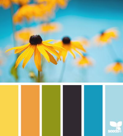 Color Combinations With Blue 805 best color!!!!! images on pinterest | colors, colour palettes Color Combinations With Blue 805 best color!!!!! images on pinterest | colors, colour palettes