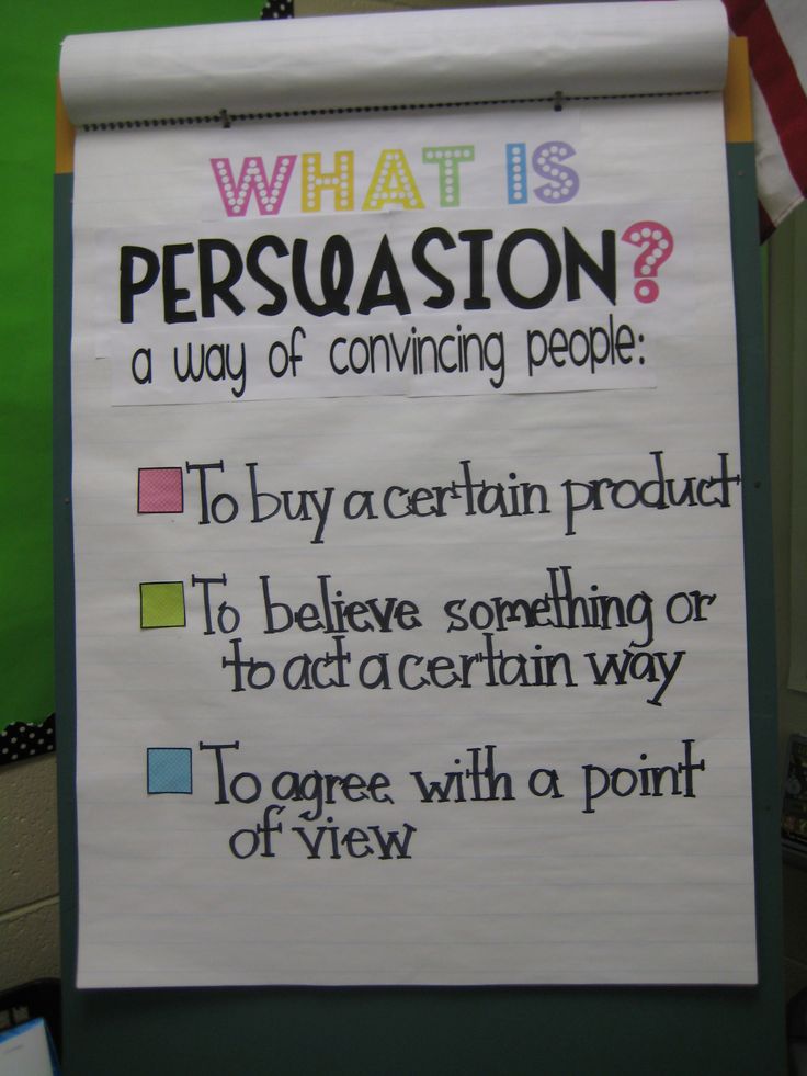 Persuasive essay meaning