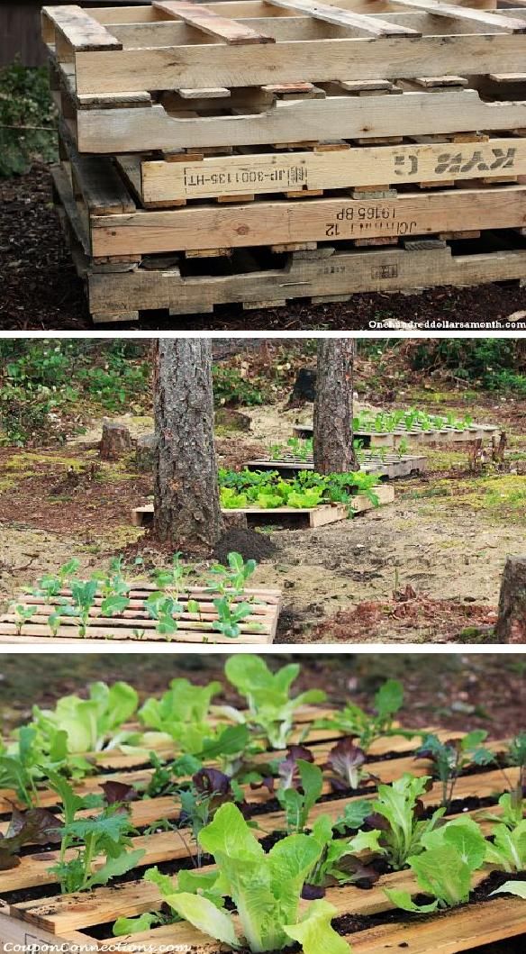 Garden Ideas Using Wooden Pallets 213 best working with pallets images on pinterest | diy, home and Garden Ideas Using Wooden Pallets 213 best working with pallets images on pinterest | diy, home and