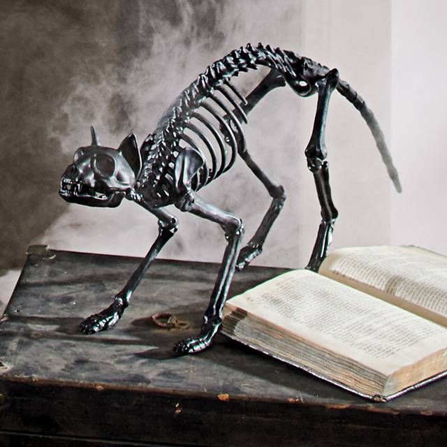 shop for halloween skeletons and skeleton decorations from grandin road halloween haven these halloween skeleton props will complete your spooky display
