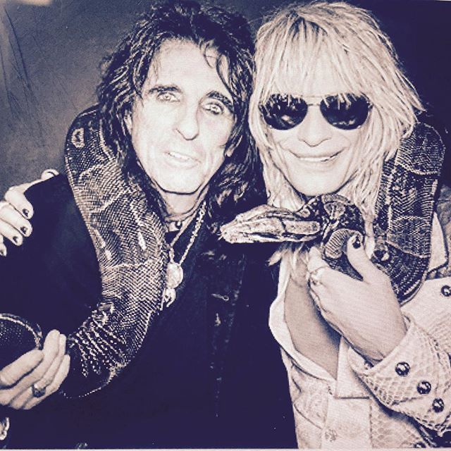alicecooper com alice cooper reunites