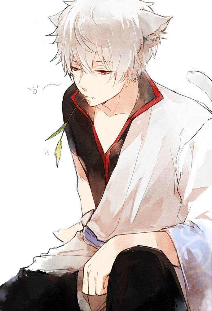 Anime boy with ears