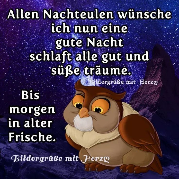 Lustige gute nacht bilder gratis