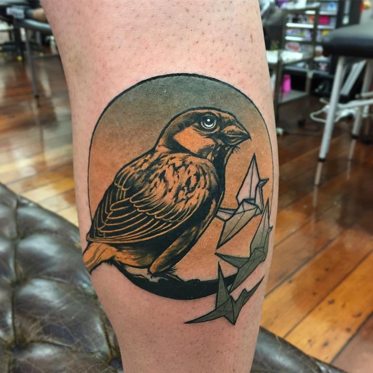 1399 best tattoo envy images on pinterest peter o u0027toole tatoo 1399 best tattoo envy images on pinterest peter o u0027toole tatoo