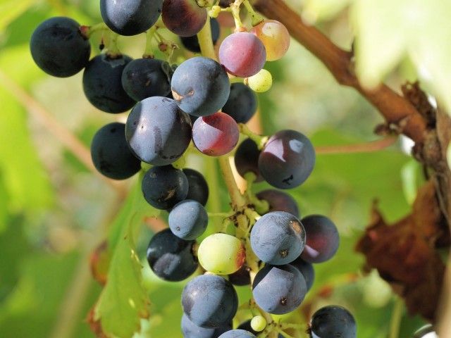 Www Jigsaw Puzzle De Www Jigsaw Puzzle De