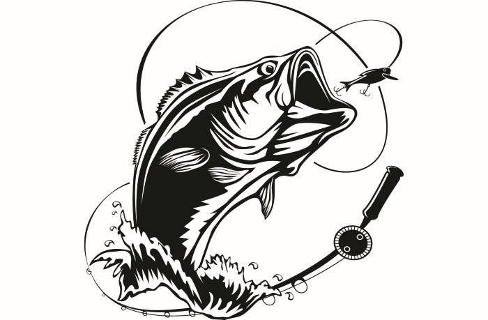 Car Window Sticker Salmon Hunter n.Carp//Pike//Fly Fish Fishing Fisherman