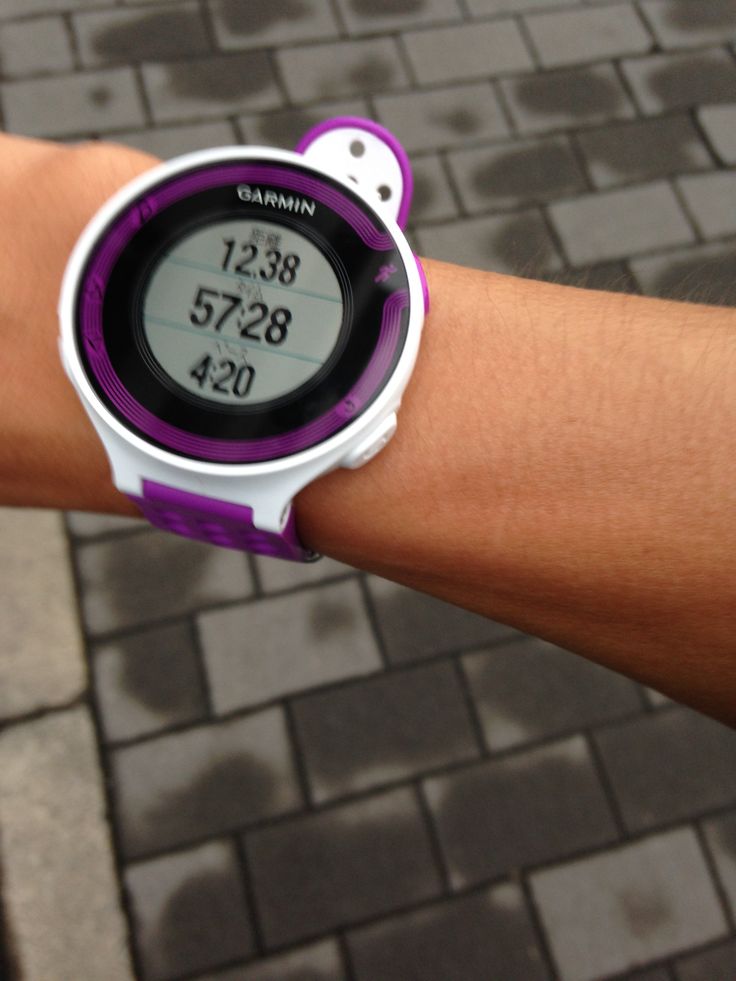 ガーミン ForeAthlete 220Jを買ったのでレビューします ガーミン ForeAthlete 220Jを買ったのでレビューします