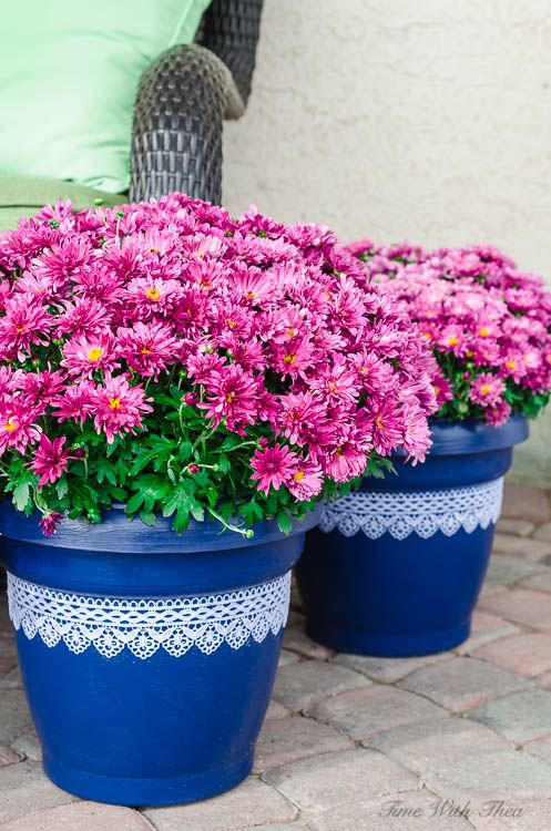 12 best plastic plant pots images on pinterest gardening plastic