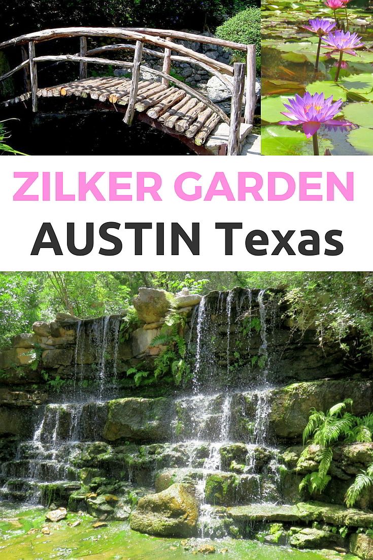 Zilker Botanical Garden A Little Zen In Central Austin Texas Botanical Gardens Garden Botanical