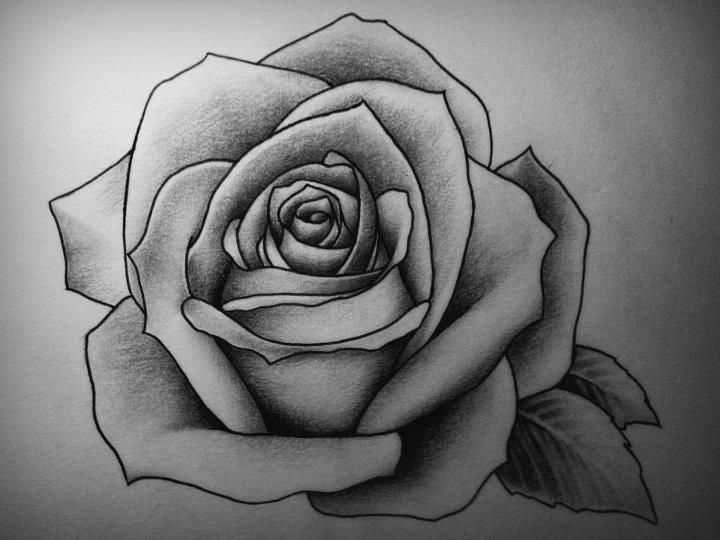13 best drawings images on pinterest drawings ideas and drawing 13 best drawings images on pinterest drawings ideas and drawing