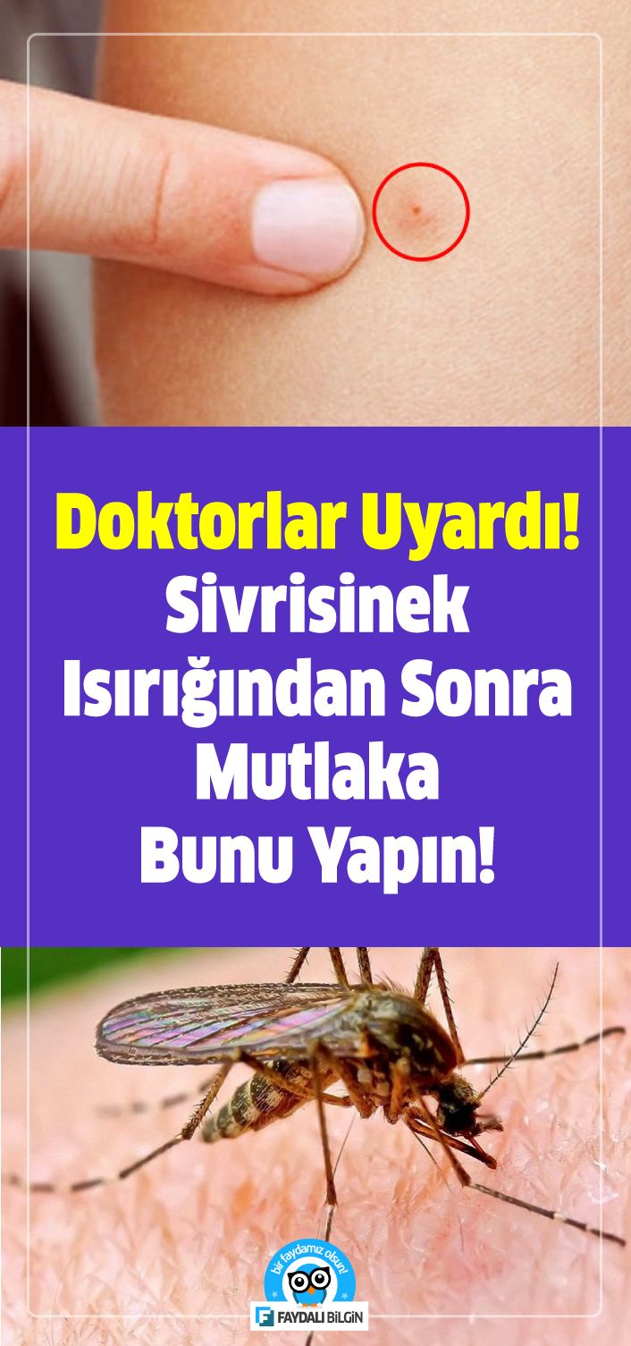 Vücudunuz Sizi Uyarıyor Acilen Magnezyuma İhtiyacınız Olduğunun Belirtileri Vücudunuz Sizi Uyarıyor Acilen Magnezyuma İhtiyacınız Olduğunun Belirtileri